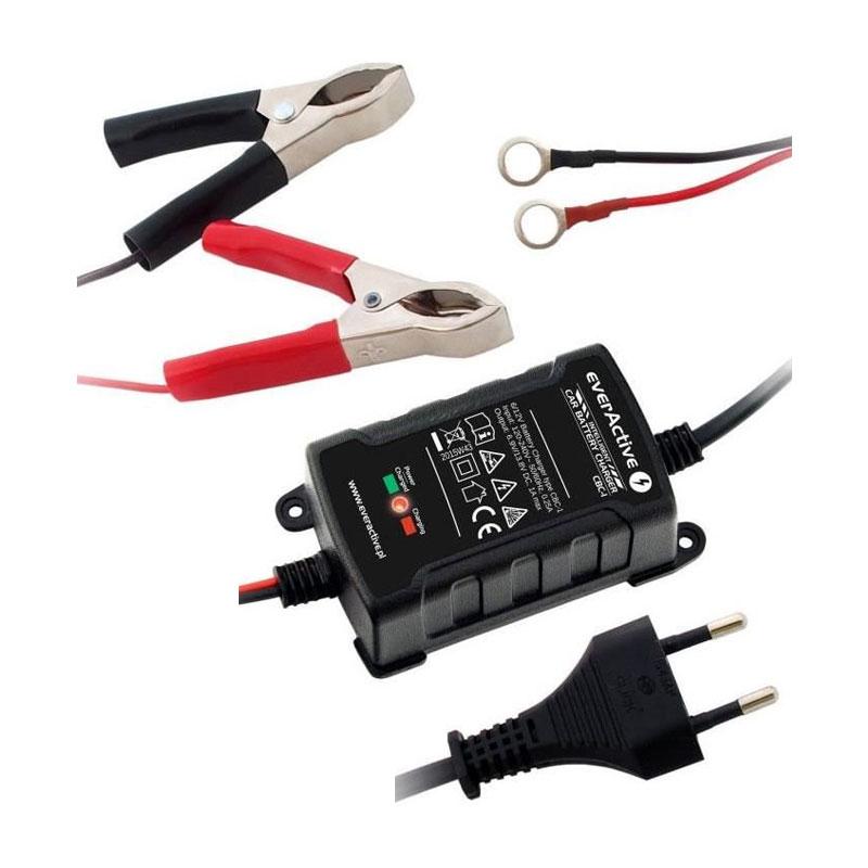 incarcator-pentru-acumulatori-6V-12V